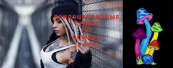 гидра Алексин