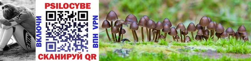 Галлюциногенные грибы GOLDEN TEACHER Арск